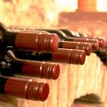 conservation vin
